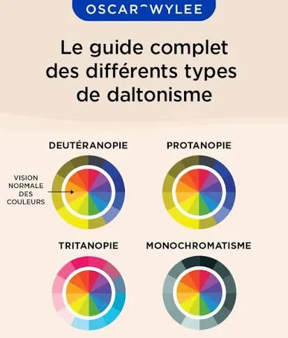 Guide des différents types de daltonisme (deutéranopie, protanopie, tritanopie, monochromatisme) comparés à la vision normale des couleurs