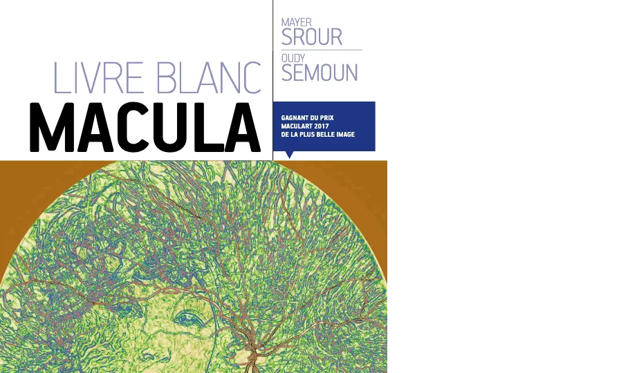 Première page de la publication