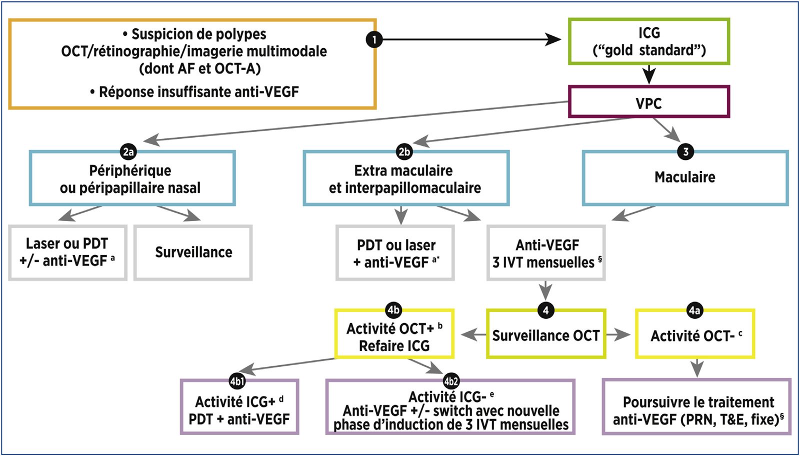 Algoritmo de manejo de la vasculopatía coroidea polipoidea según la Fédération France Macula